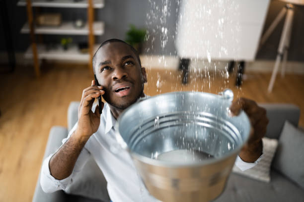 Best Flooded house restoration  in Apple Valley, CA