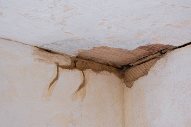 Best Water damage contractors near me  in Apple Valley, CA