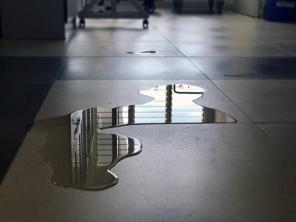 Best 24-hour water damage restoration  in Apple Valley, CA