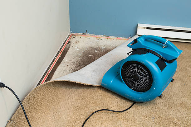 Best Water damage restoration near me  in Apple Valley, CA